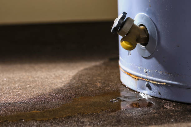 Best 24/7 water damage repair  in Carrington, ND