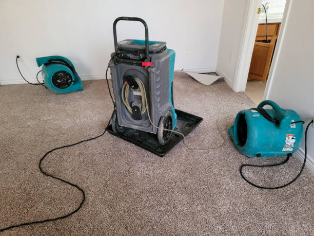 Best 24-hour water damage restoration  in Carrington, ND