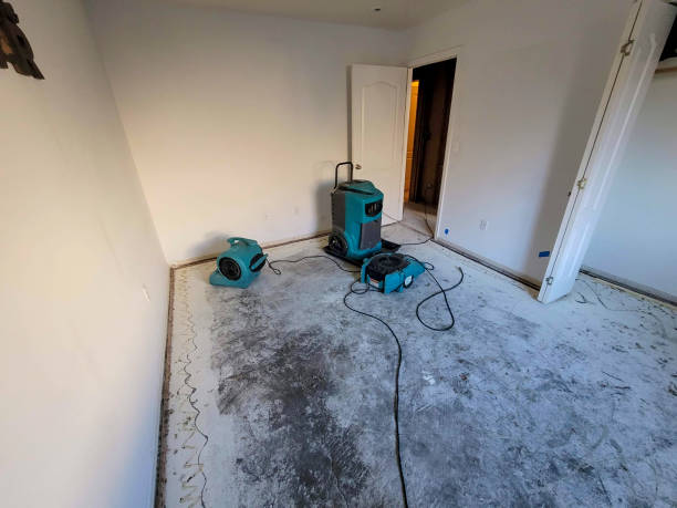 Best Water damage contractors near me  in Carrington, ND
