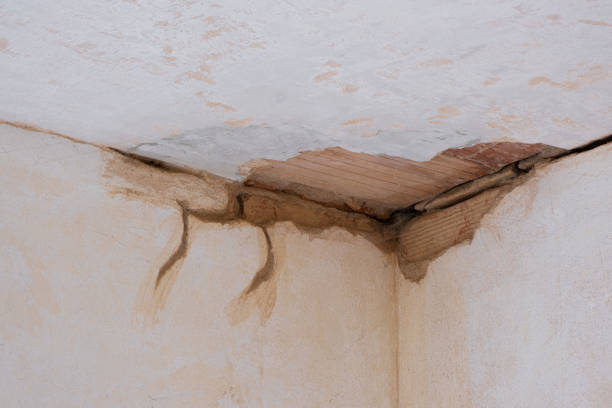 Best Residential water damage restoration  in Carrington, ND