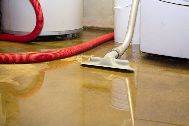 Best Water damage cleanup near me  in Carrington, ND
