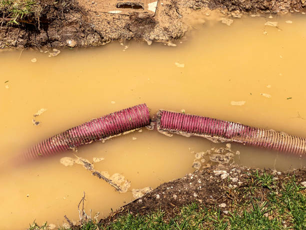 Best Water damage restoration near me  in Carrington, ND