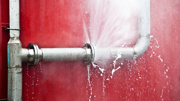 Best Commercial water damage restoration  in Carrington, ND