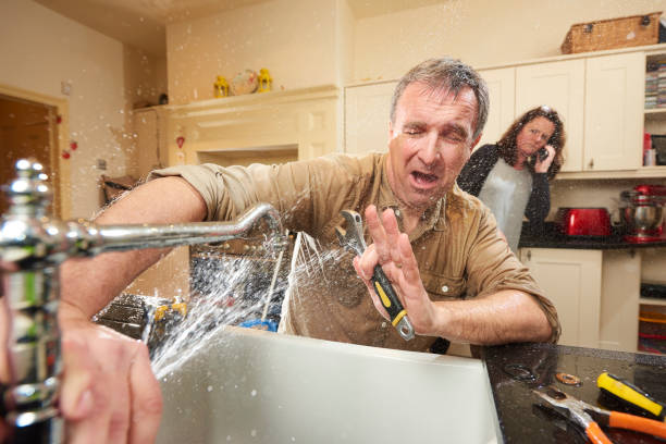 Best Basement water damage restoration  in Carrington, ND